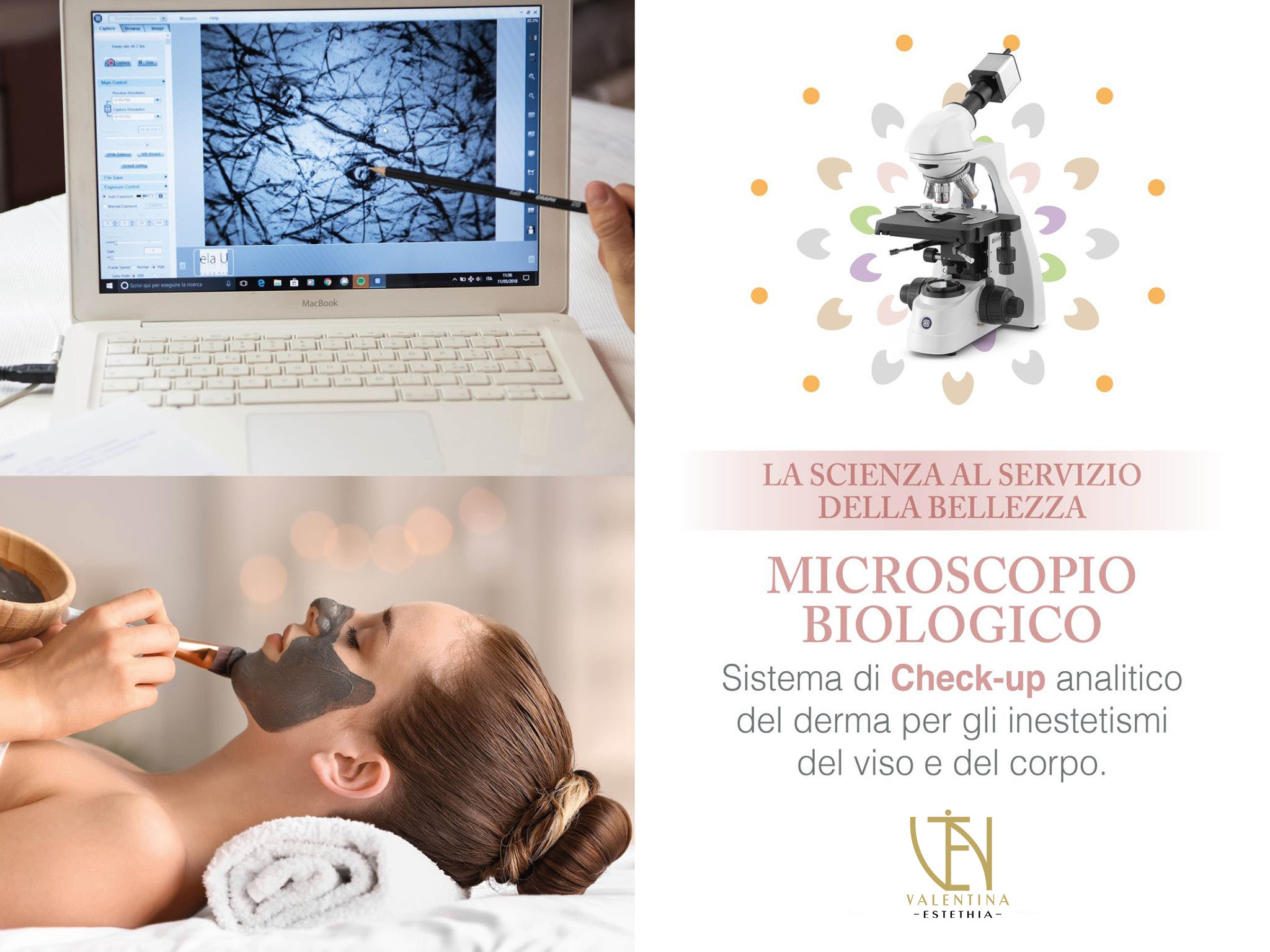 Check Up con Microscopio biologico
